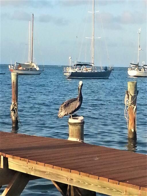 Caribbean Splendor With Million Dollar Views Villa Christiansted Luaran gambar